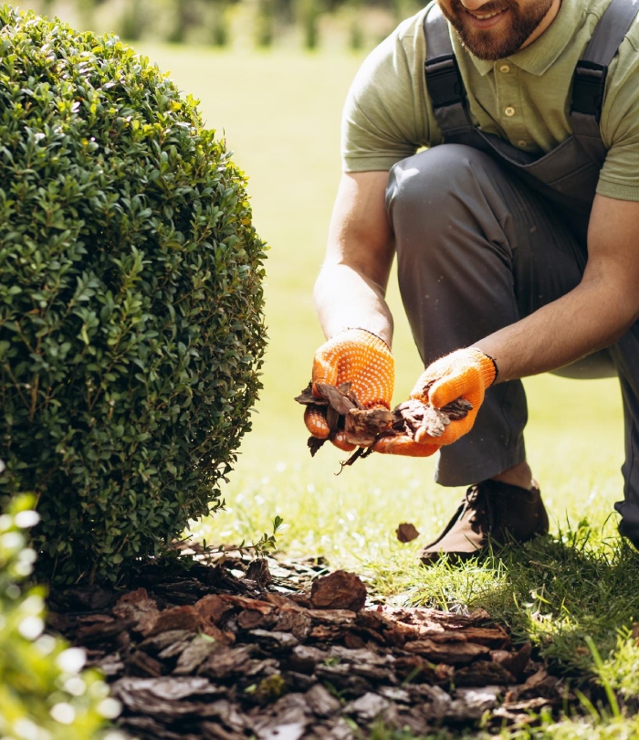 Entretien paysager et paillage de jardin