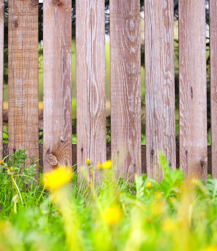 Aménagement paysager avec clôture en bois