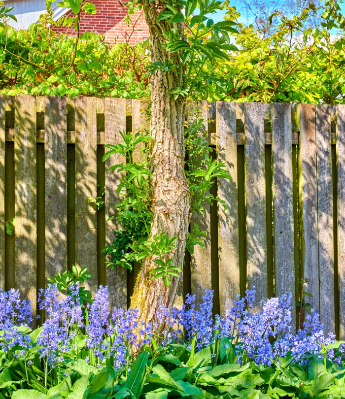 Clôture en bois pour aménagement extérieur