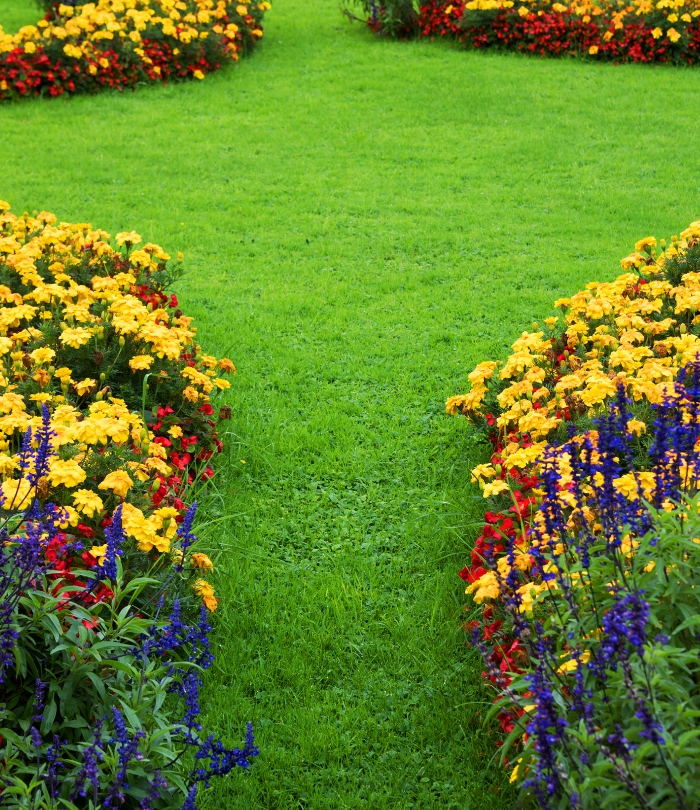 Création de jardin paysager avec allée et massifs fleuris
