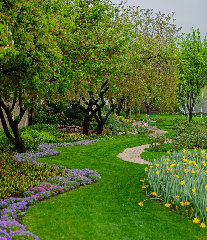 Création de jardin paysager avec allée et massifs fleuris