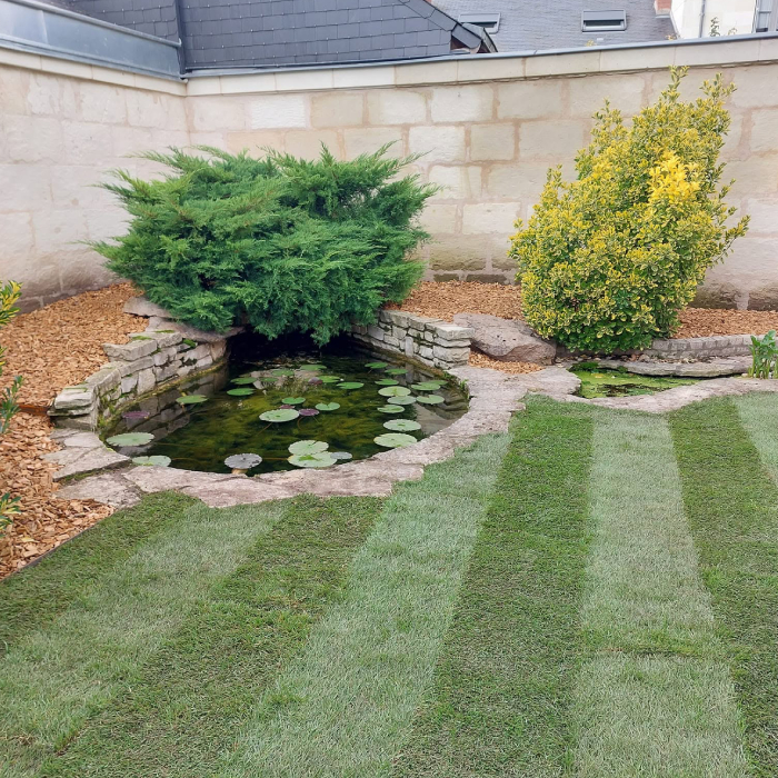 Jardin aménagé avec bassin décoratif, plantations, paillage et pelouse entretenue par Tharreau Paysagiste à Courchamps
